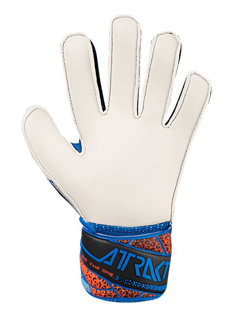 Reusch Attrakt Solid Junior Guanti Portiere Bambino REUSCH | 55725154467